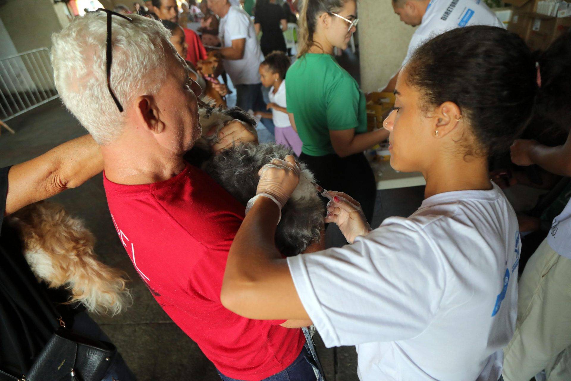 Cajazeiras recebe mutirão de vacina V10 gratuita para cães na próxima terça (5)