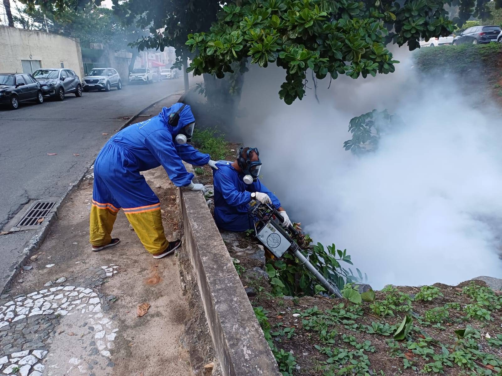 Cuidados, remédios e vacina: Aratu On explica o que você precisa saber sobre a dengue