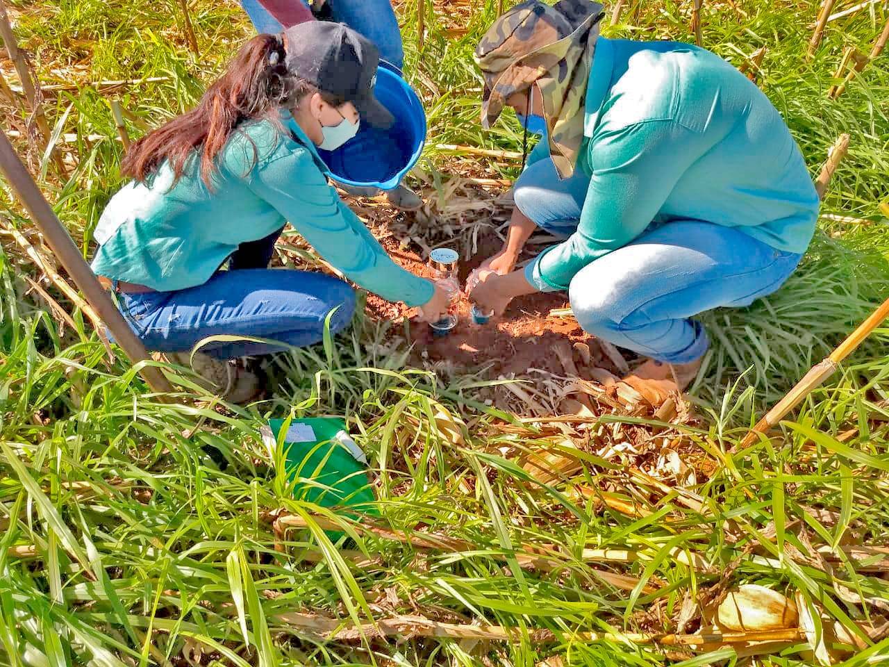 Projeto no Oeste baiano desenvolve práticas sustentáveis para reduzir emissões de gases do efeito estufa