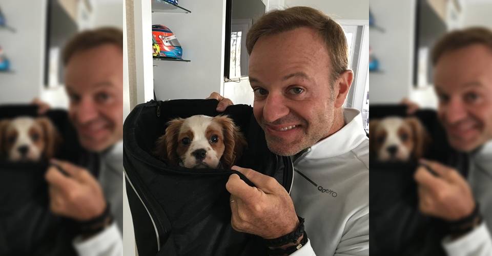 Cachorro de Rubens Barrichello morre após ingerir 11 bitucas de cigarro