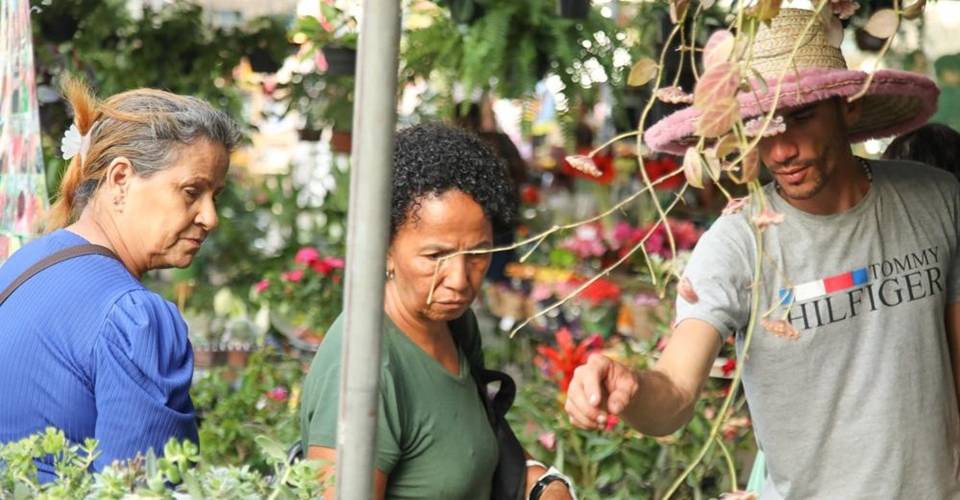 Primeira Feira Agroecológica de Salvador acontece nesta quinta-feira (14)