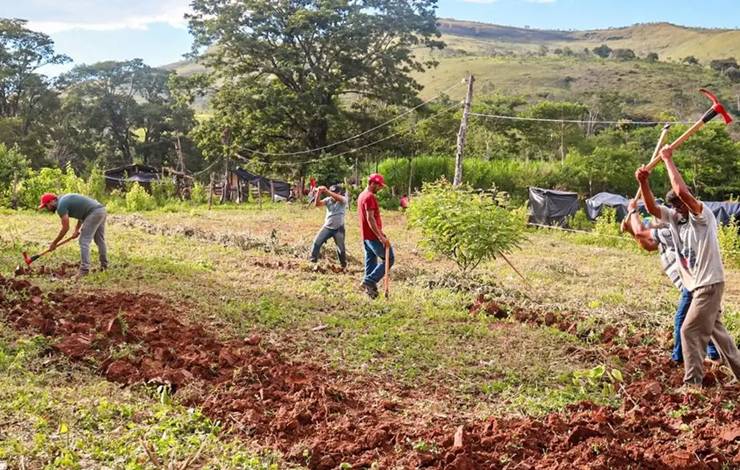 Justiça nega reintegração em fazenda ocupada pelo MST em Minas Gerais