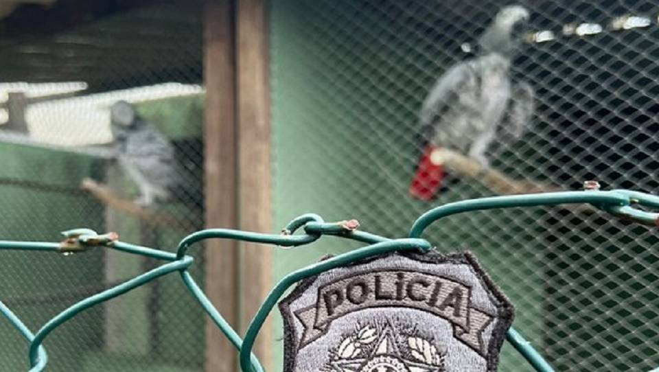 Operação da PF combate tráfico de animais na Bahia; 9 mandados são cumpridos