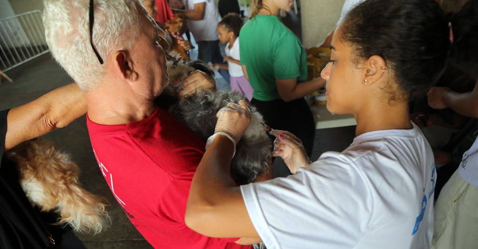 Vacina V10 para cães será oferecida gratuitamente em Marechal Rondon; confira