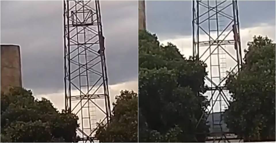 Homem cai de torre telefônica após ser atacado por abelhas no sudoeste da Bahia; veja vídeo