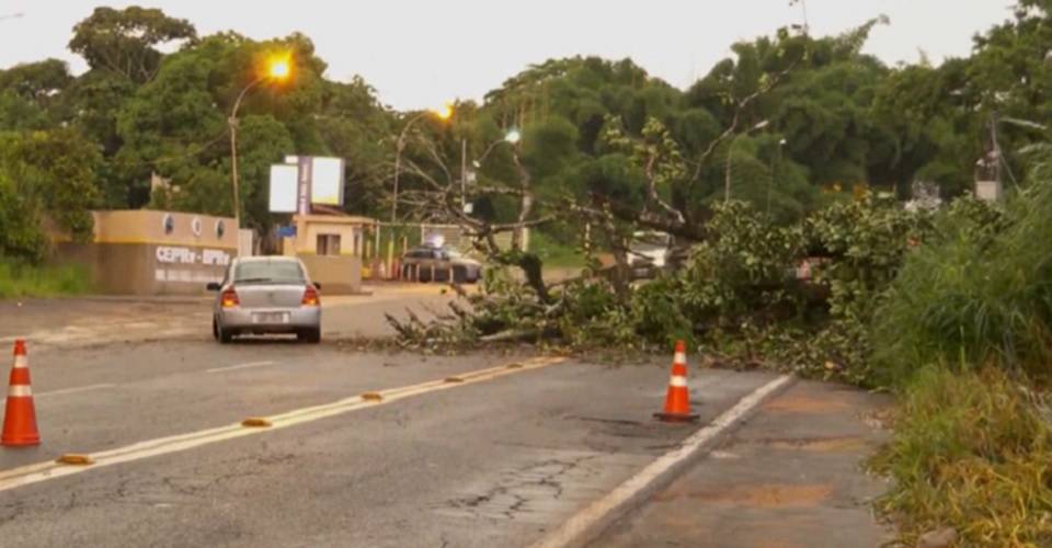 Chuva segue intensa nesta quarta-feira em Salvador; árvore cai na Estrada do Derba