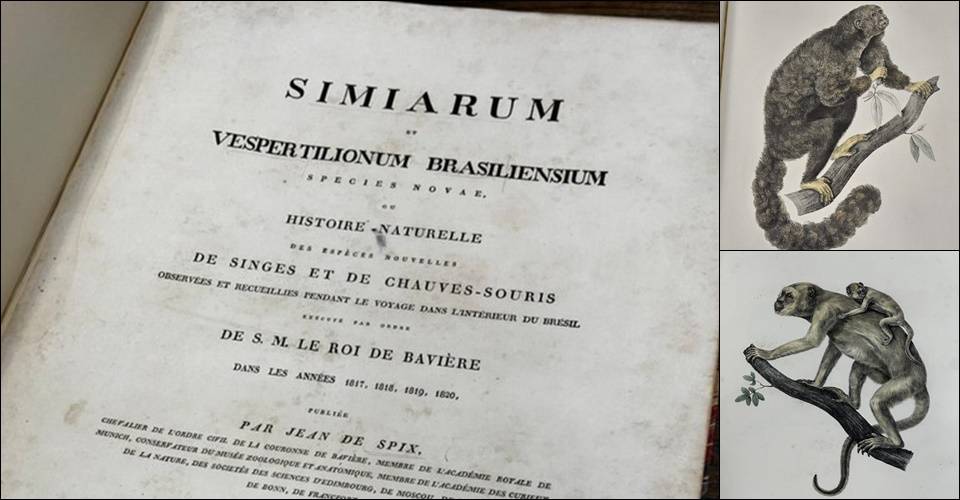 Polícia Federal recupera, em Londres, livro de 1823 furtado de museu no Pará