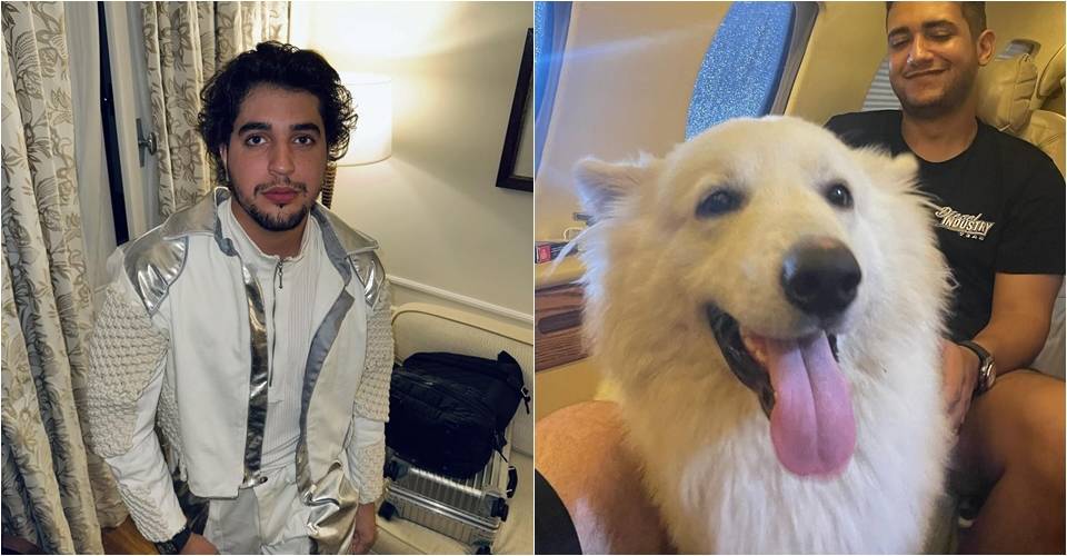 Henrique e Juliano 'sequestram' cachorros de Nattan e levam para outro estado: 'Doidos!'