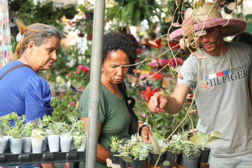 Feiras agroecológicas serão realizadas no Parque da Cidade neste sábado (8)