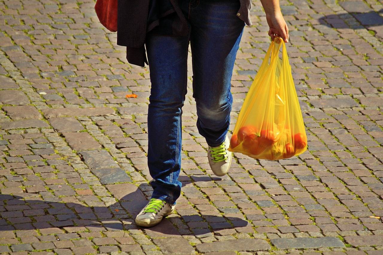 'Lei das Sacolas Plásticas' entra em vigor em Salvador neste domingo (14); entenda as mudanças