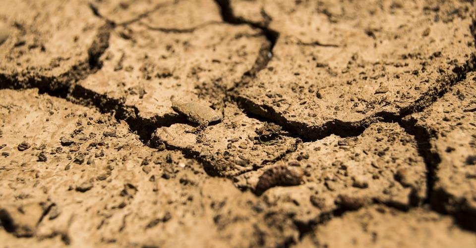 Projeto 'Mulheres do Jacuípe' promove mudança socioambiental e resiliência feminina no semiárido