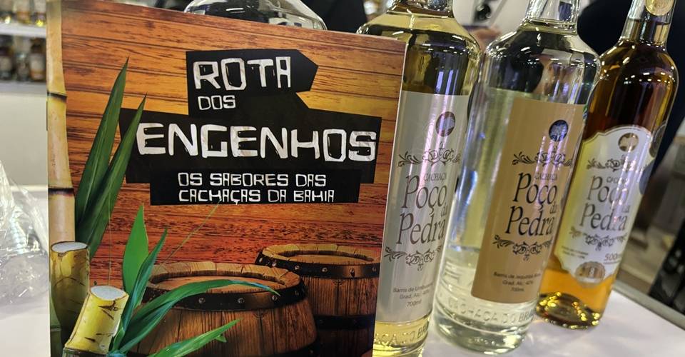 Curso de sommelier de cachaça acontece em Salvador, em julho