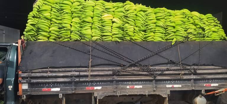 Caminhão que transportava bananas de forma irregular é retido pela PRF em Santo Antônio de Jesus