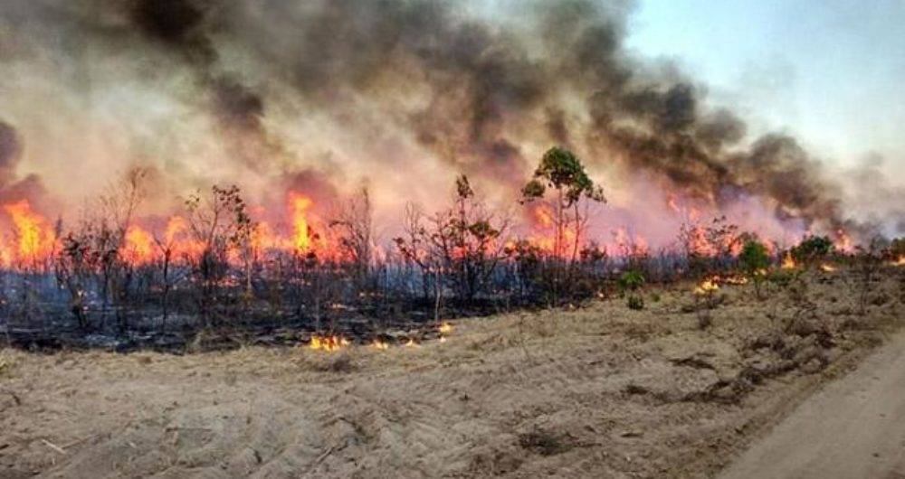 Inpe registra mais de 700 focos de queimadas na Bahia no mês de agosto