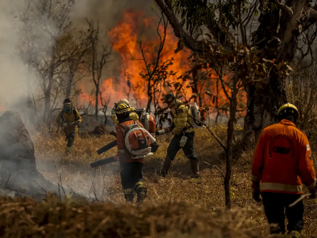 Amazônia bate recorde de queimadas em menos de um mês: 2,5 milhões de hectares