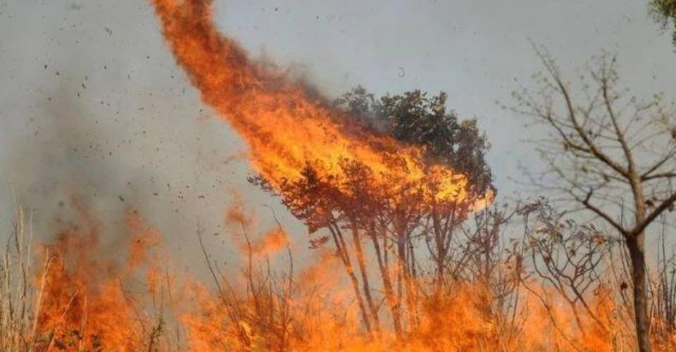 Quase 76% dos incêndios da América do Sul estão no Brasil, segundo Inpe