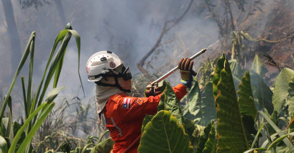 Bombeiros intensificam ações e controlam 422 incêndios florestais no estado