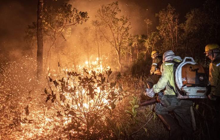 Brasil registra mais de 49 mil queimadas nos primeiros 12 dias de setembro