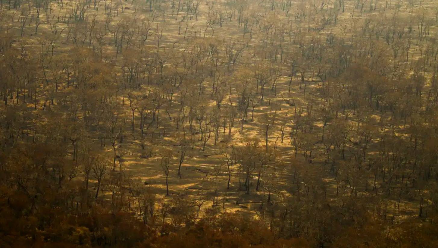 Incêndios e seca na Amazônia e no Pantanal batem marcas históricas