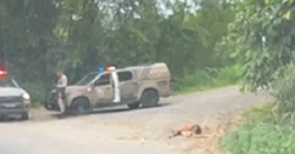 Corpo em estado de decomposição é encontrado na Estrada do Derba