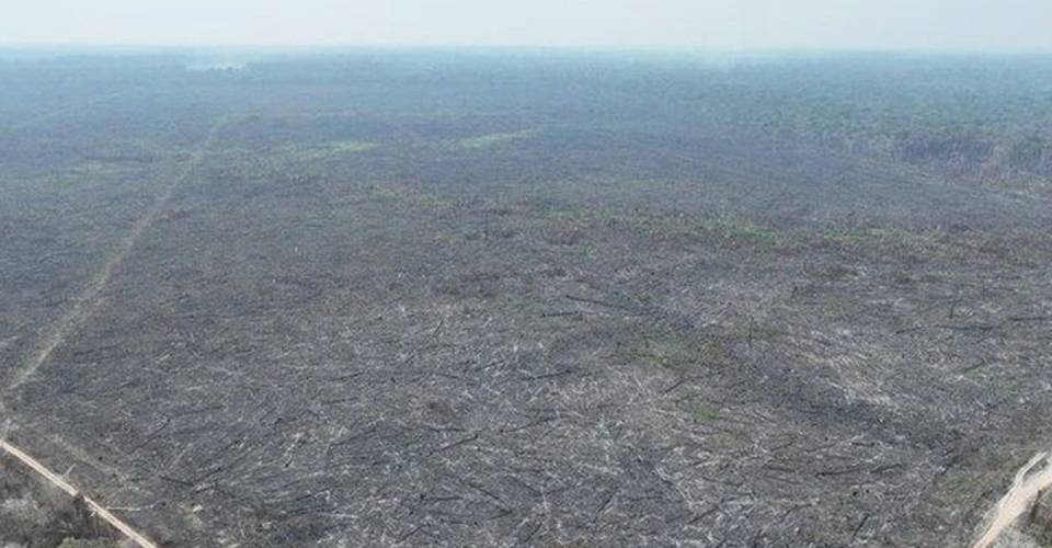 Dois homens são presos suspeitos de provocar incêndios na Amazônia